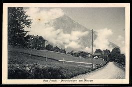 AK Aeschi, Nebeltreiben am Niesen, Straßenpartie