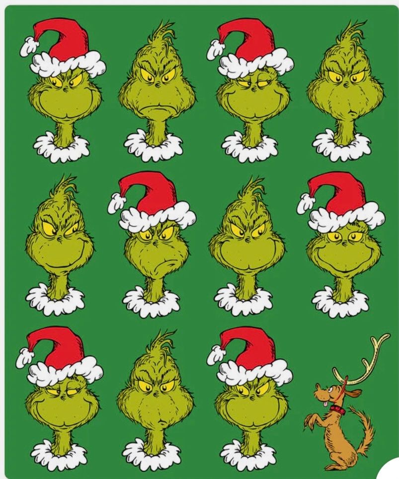 Coperte: Grinch Throw Blanket - NEW, Festive Winter Decor! – Nuovo e nell'imballaggio originale da Buttikon SZ venduto da trzurigo