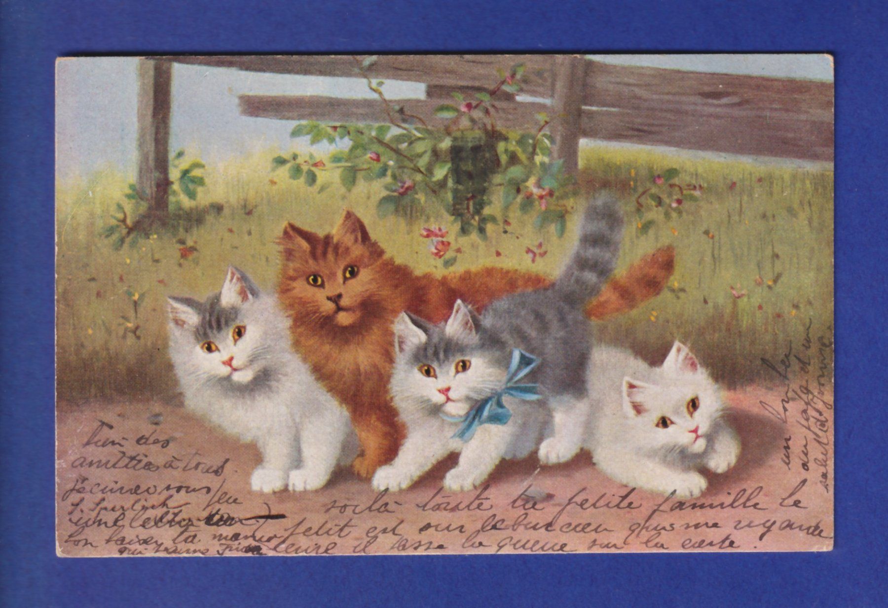 Ansichtskarten: CHAT - Un bande de chats – Gebraucht aus Pully von nicecards-shop