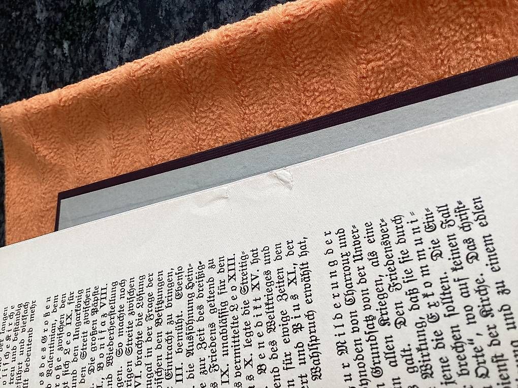 Libri: Illustrierte Geschichte der Katholischen Kirche, 1927! – Usato da Schöfflisdorf venduto da seahorse61 4