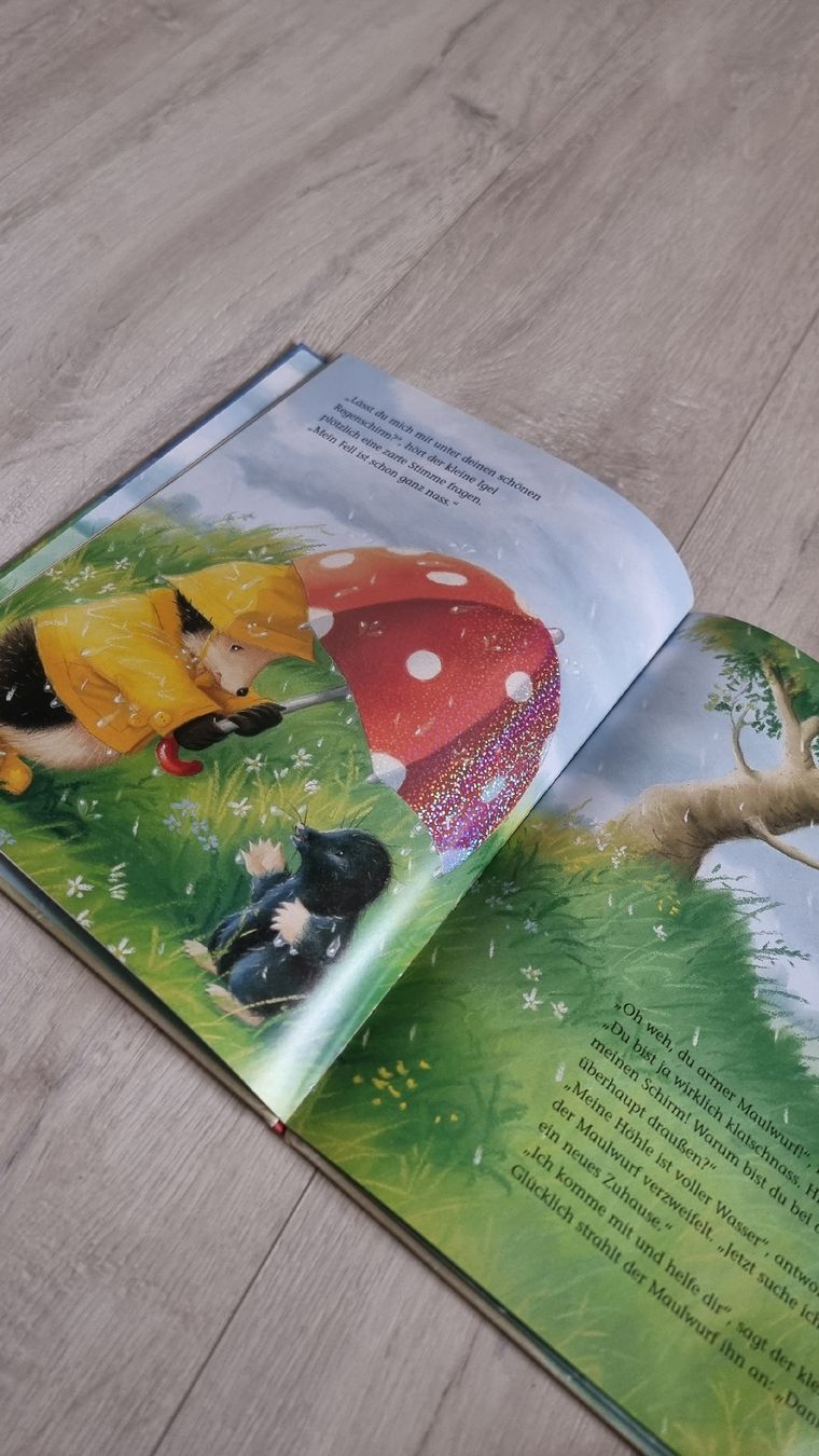 Bücher: Kinderbuch: Der kleine Igel rettet seine Freunde. – Gebraucht aus Wigoltingen von Zuckerfee84 3