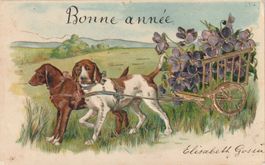 Antike AK Relief Hunde ziehen Blumenwagen 1905
