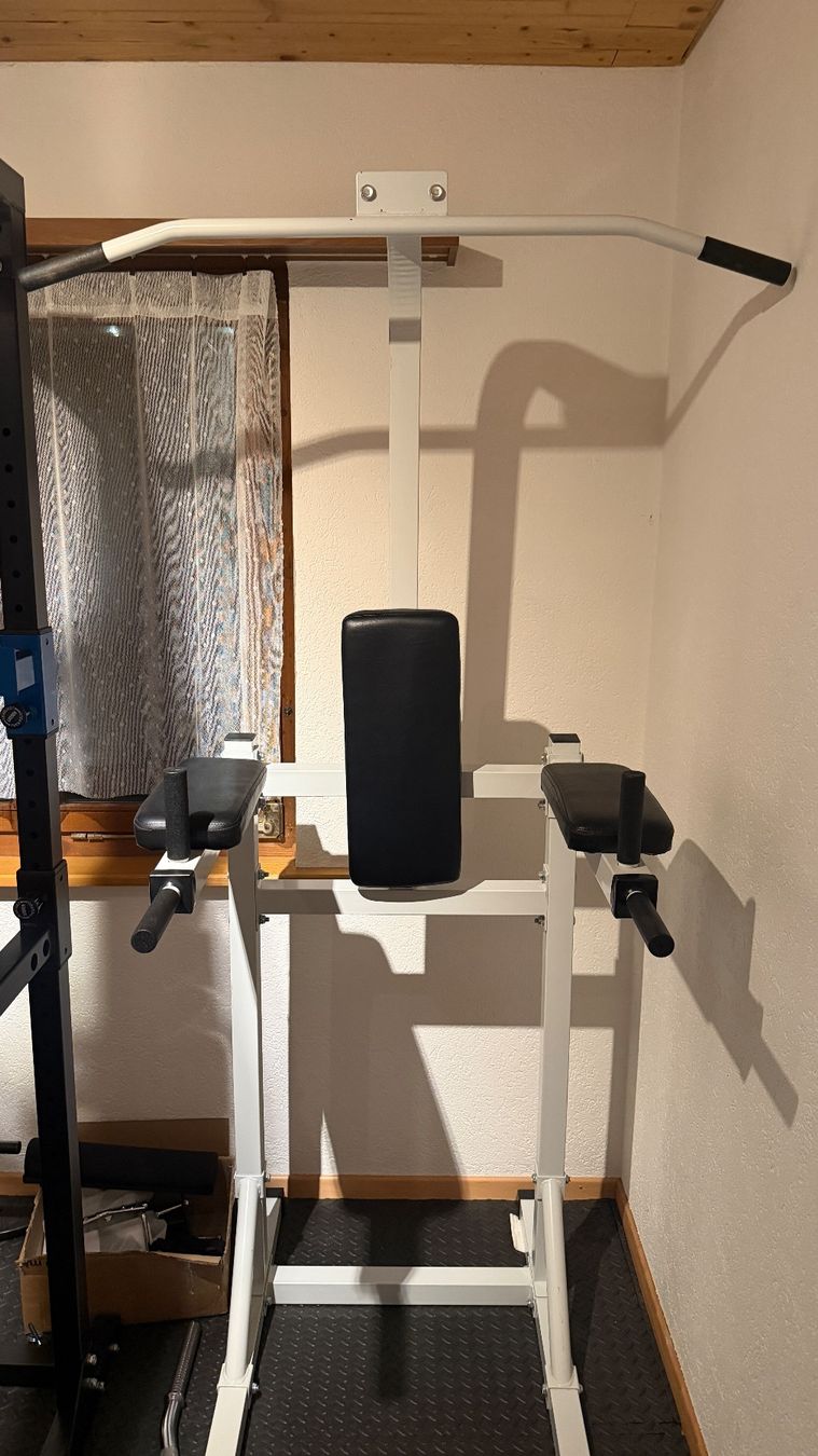 Hometrainer: Klimmzuggerät mit Dipstation – Gebraucht aus Gebenstorf von GianlucaRusso 6