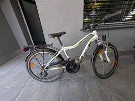Vengo Mustang 24 Zoll Kindervelo