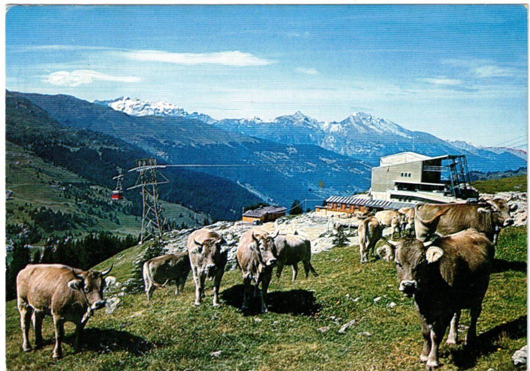 Cartoline postali: Lenzerheide - Luftseilbahn Rothorn – Usato da Binningen venduto da Mountainrider