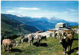 Lenzerheide - Luftseilbahn Rothorn