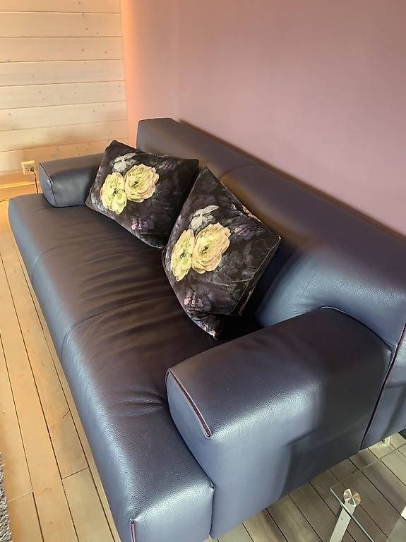 Leolux Sofas: Leolux Sofa Garnitur mit Glastisch und Teppich – Gebraucht aus Gümligen von Troki