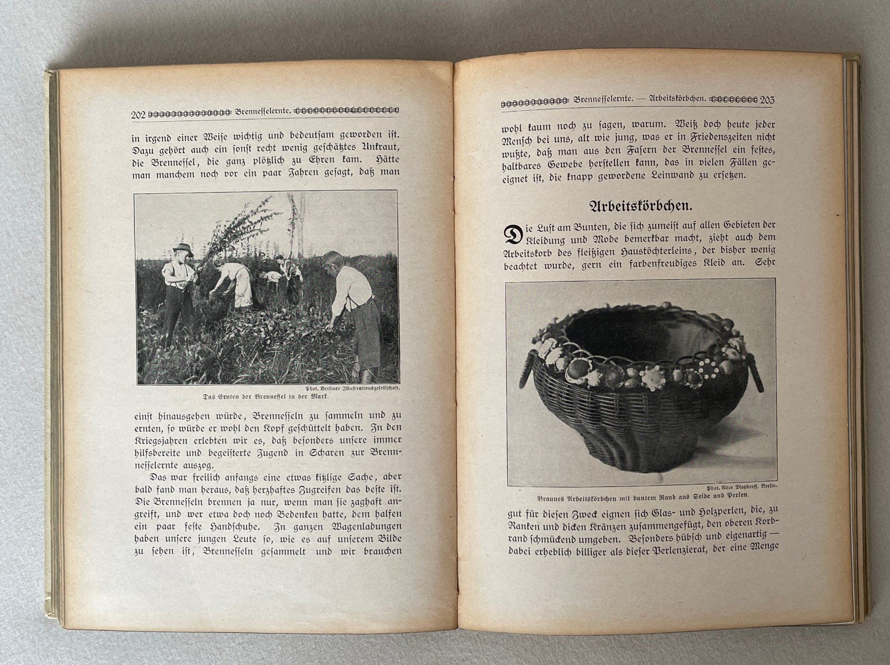 Libri: Antikes Jugendbuch "Der Jugendgarten" – Usato da Adliswil venduto da Duenenwanderer 7