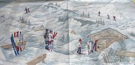 Serviette wintersport (w385) 2Stk.