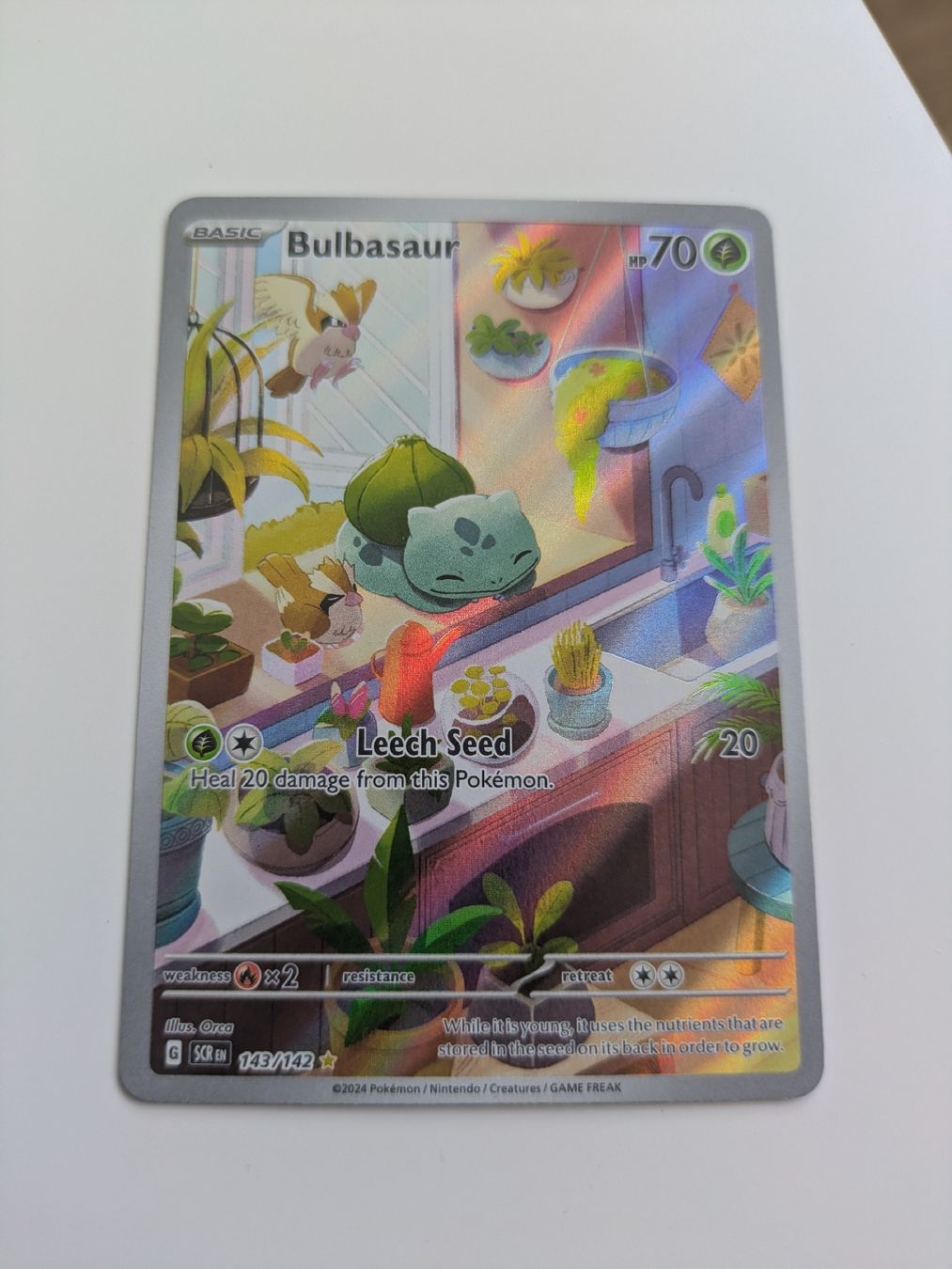 Pokémon Cartes à collectionner: Bulbasaur (Stellar Crown) – Neuf (Voir description) à Hochdorf par NoctisCaelum