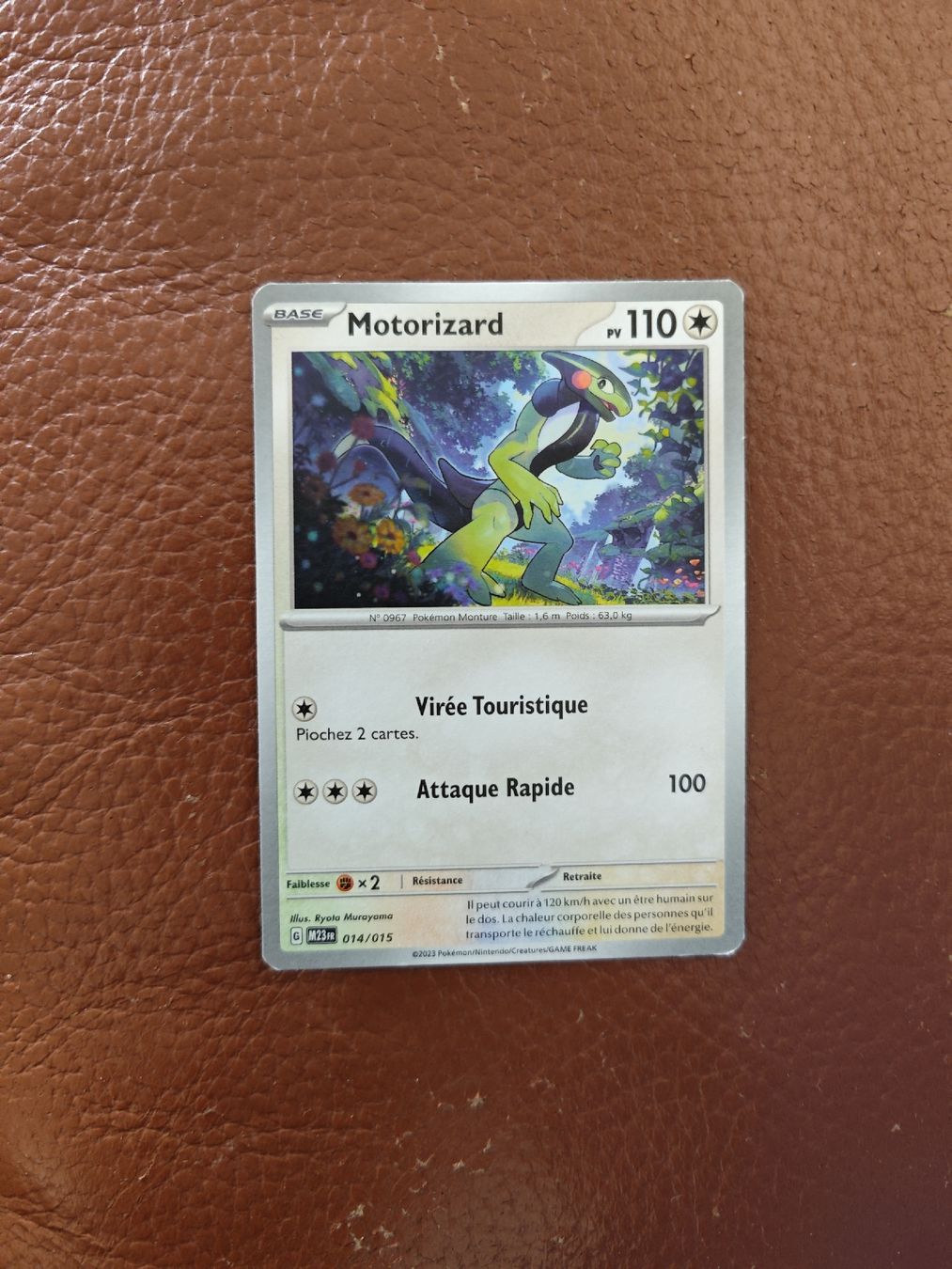 Pokémon Carte collezionabili: Pokémon Motorizard – Usato da Neuchâtel venduto da nbr_z8jr