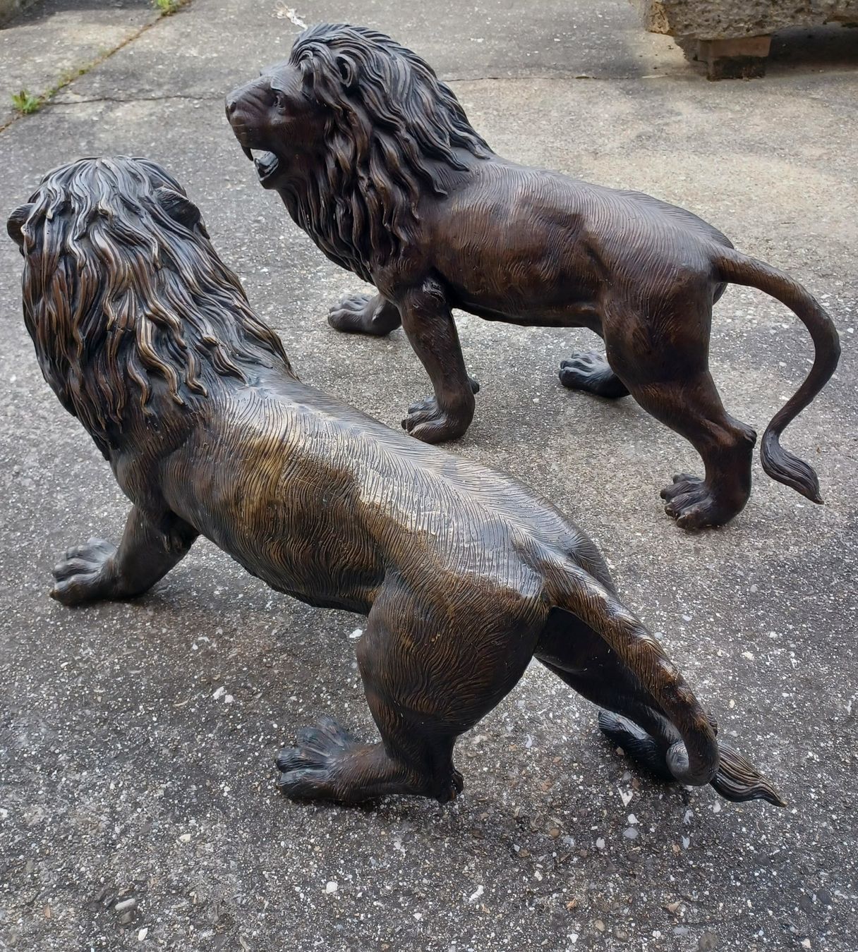 Statuette: Löwen - Paar Bronze – Nuovo (secondo la descrizione) da Wangen a.Aare venduto da Schneckenparadies