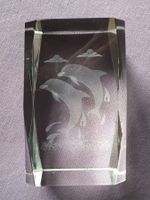 Glasquader Delphine 3D