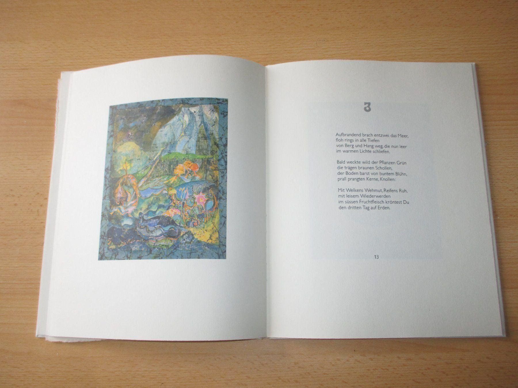 Libri: Hans W. Kopp - Schöpfung – Usato da Flims - Dorf venduto da Stagediver 4