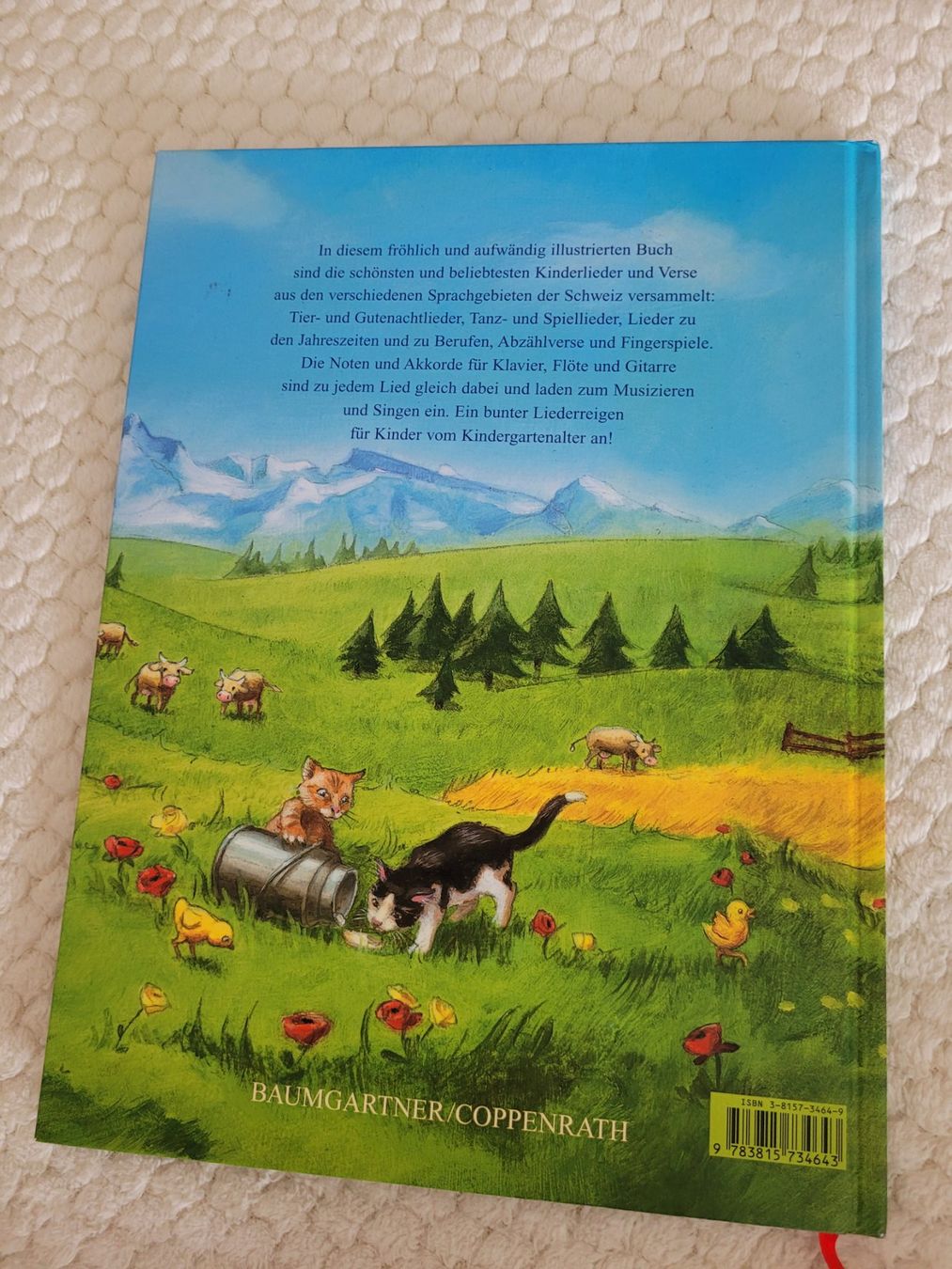 Libri: Schwiizer Chinderlieder inkl. CD – Usato da Uster venduto da Gabi64 1