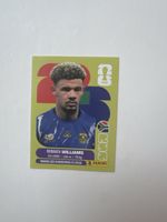 Panini FIFA World Cup 2026 Aufkleber Ronwen Williams