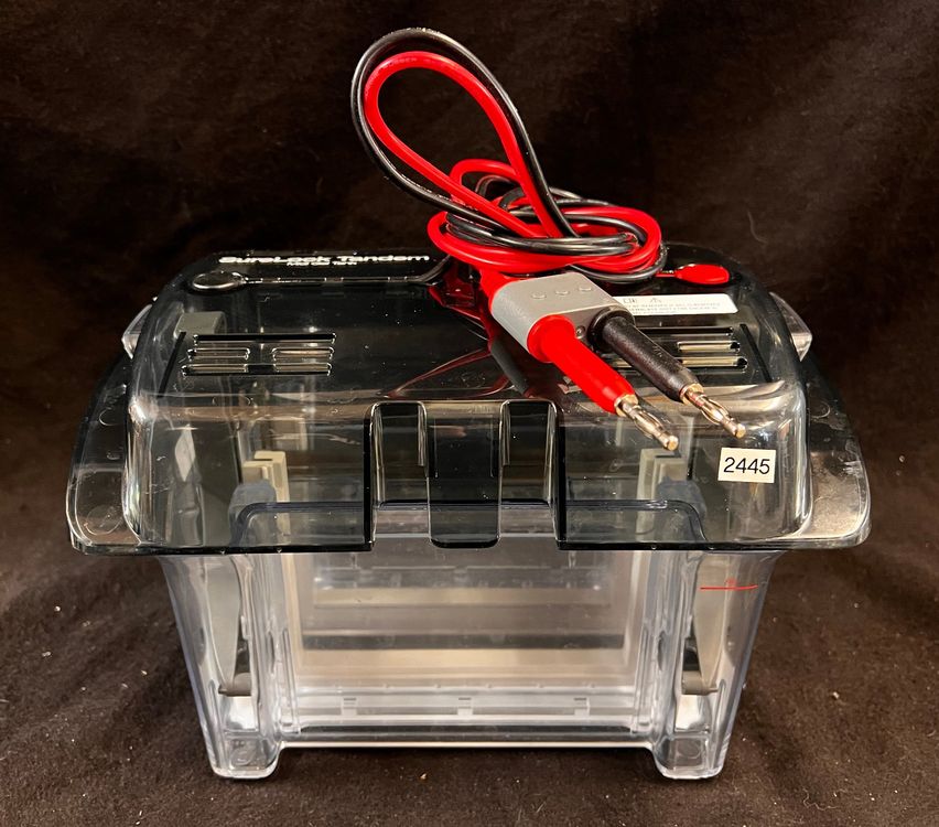 Thermo Fisher invitrogen SureLock Tandem Midi Gel Tank Kaufen auf Ricardo