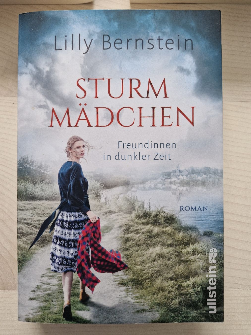 Libri: Lilly Bernstein Romane ,Top , Trümmer,Findel & Sturm Mädchen – Usato da Frauenfeld venduto da Kasico 5