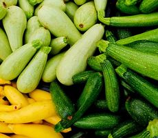 XL Zucchini Mix: 20 Samen : ZUCCHINI KLASISCH, RUND, LANG...