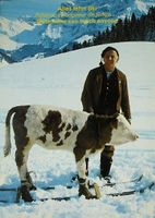 ADELBODEN Ski-Lehrer Peter von der Aebi
