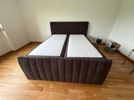 Carryhome BOXSPRINGBETT 160/200 cm Braun