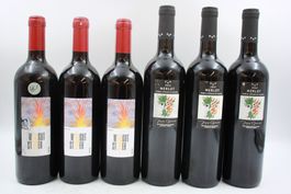 3X Weingut Steier 3x Merlot Noble Rotwein (26082664Z)