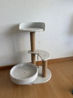 Katzen
