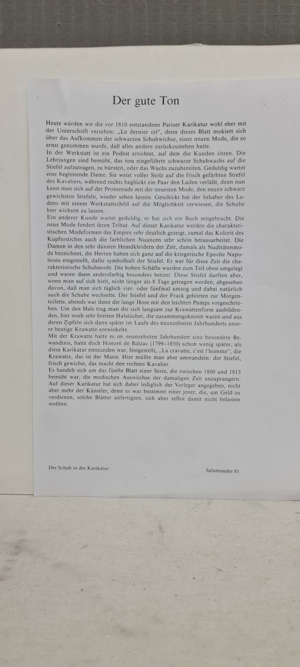 Grafiken & Lithographien: Der Schuh in der Karikatur, Lithographie – Gebraucht aus Sins von sagitarius58 3