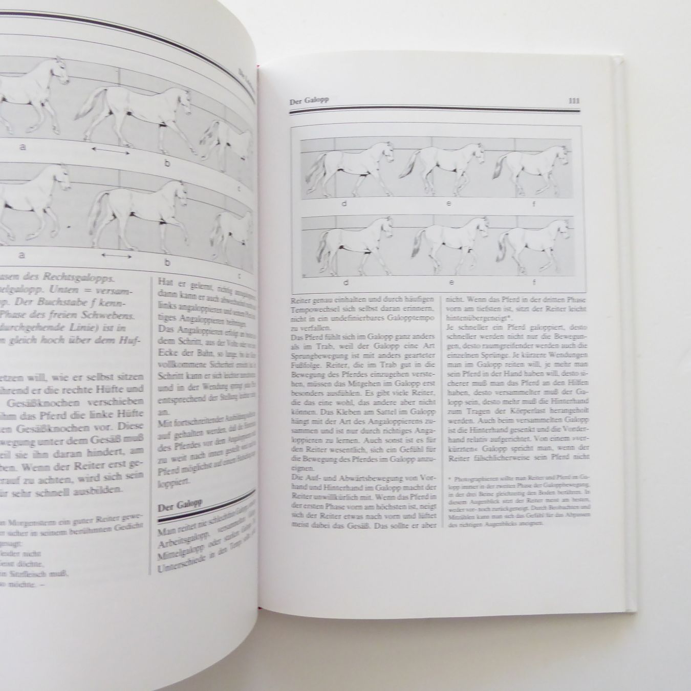 Bücher: Reitlehre - Wilhelm Müseler – Gebraucht aus Basel von Kunterbunt12 6