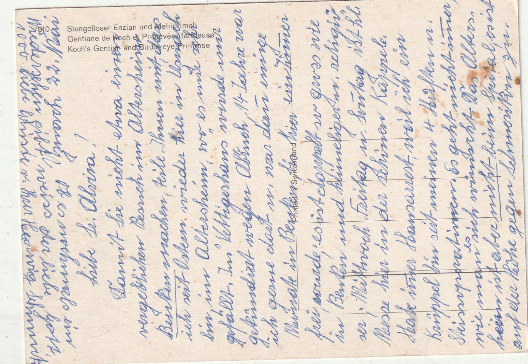 Cartoline postali: Blumenkarte – Usato da Lumbrein venduto da made02 1