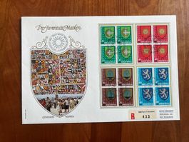 FDC Grossbrief Pro Juventute Viererblock 1980 ET  (F161)
