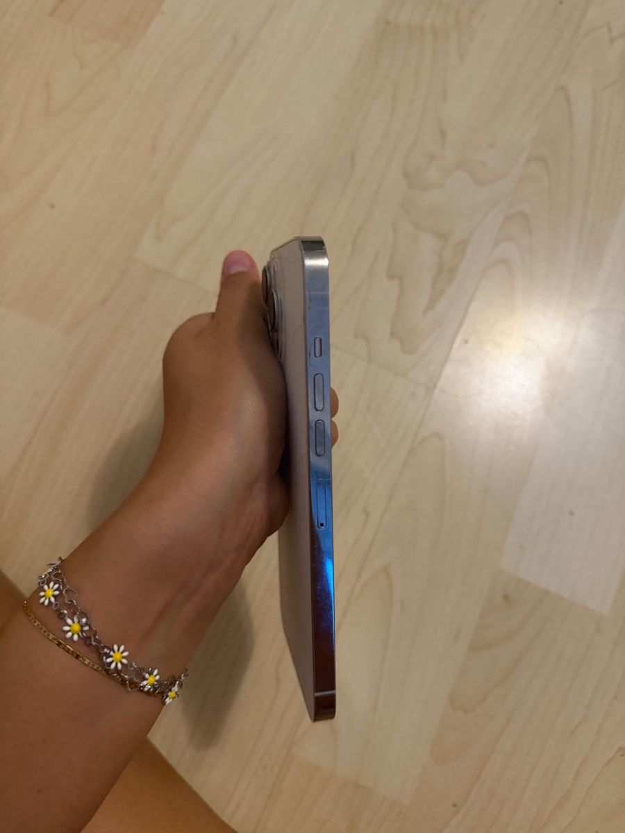 Apple Portables: Apple iPhone 13 Pro Max 256 GB Silber Technisch einwandfrei – D'occasion à Kloten par techni 3