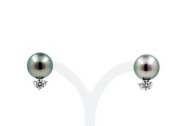 Tahiti Perlen Brillant Ohrclips 18K Weissgold *S3275