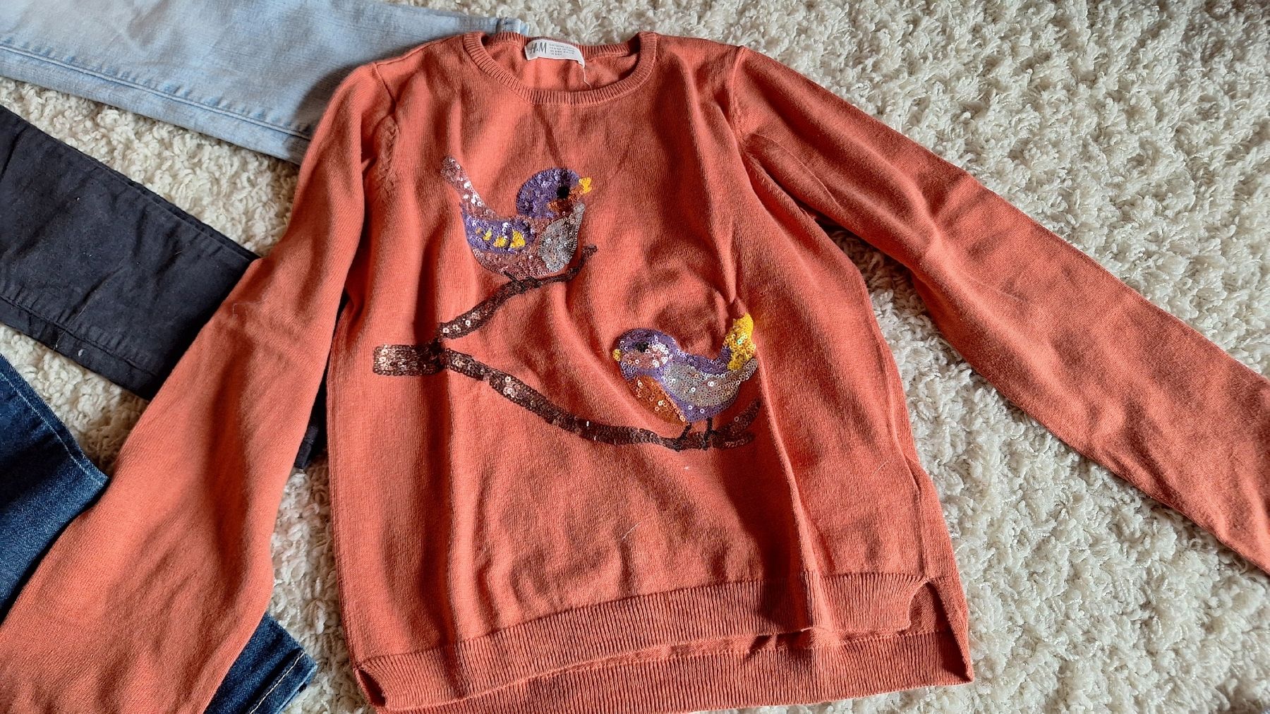 Lotti & Set di vestiti: Hosen und Pullis Gr. 134 – Usato da Rüthi (Rheintal) venduto da beetle15 2