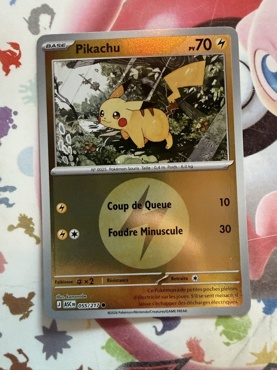 Pokémon Sammelbilder & Trading cards: Pikachu – Neu (gemäss Beschreibung) aus La Plaine von 8-X