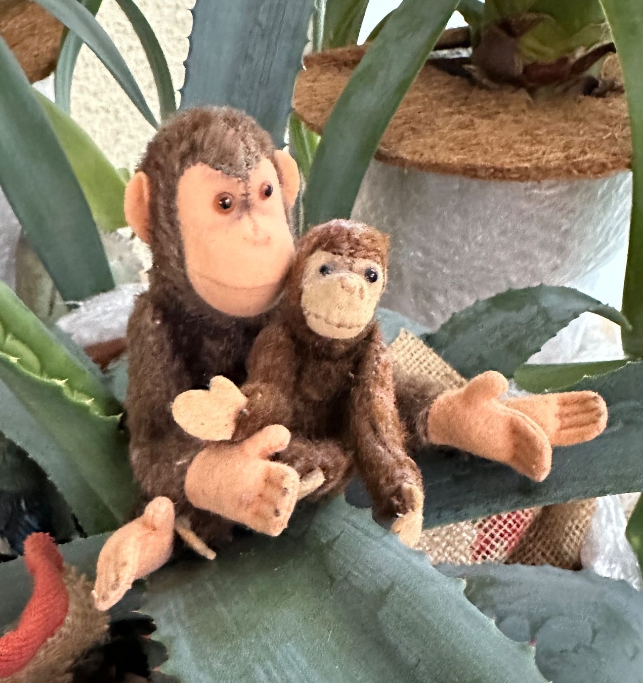 Steiff Giocattoli: 2 Äffchen Steiff Affe ca. 12 und 18 cm – Usato da Zürich venduto da brazerola