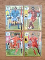 PANINI WORLD CUP 2006 TRADING CARDS NETHERLANDS