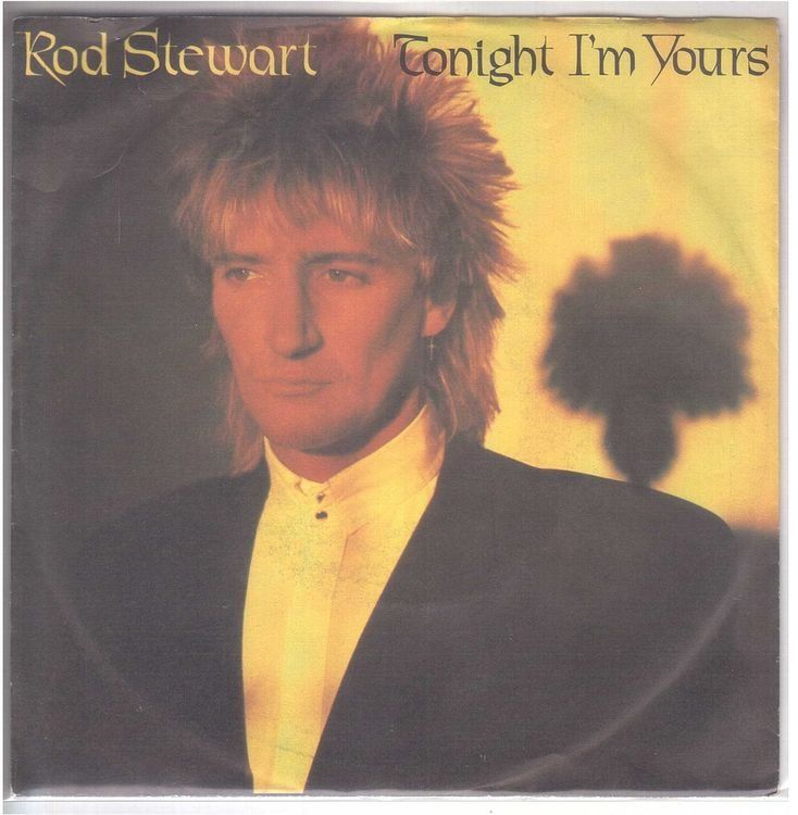 Dischi in vinile: Rod Stewart  --  Tonight i`m yours  Single7 – Usato da Rheinau venduto da asteng