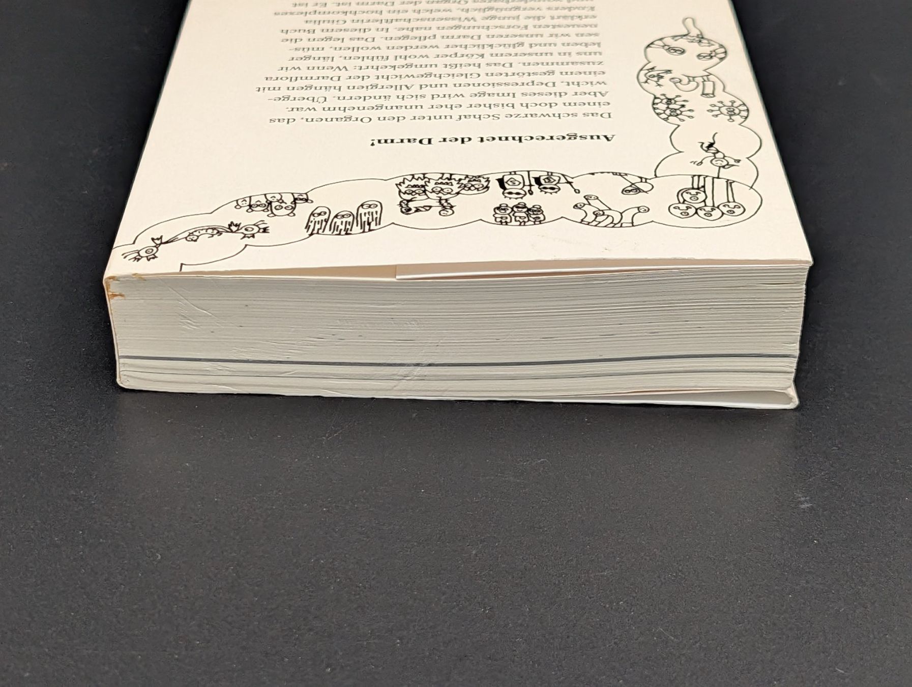 Livres: Buch Darm mit Charme Giulia Enders – D'occasion à Wiezikon b.Sirnach par CaRo_Second 4