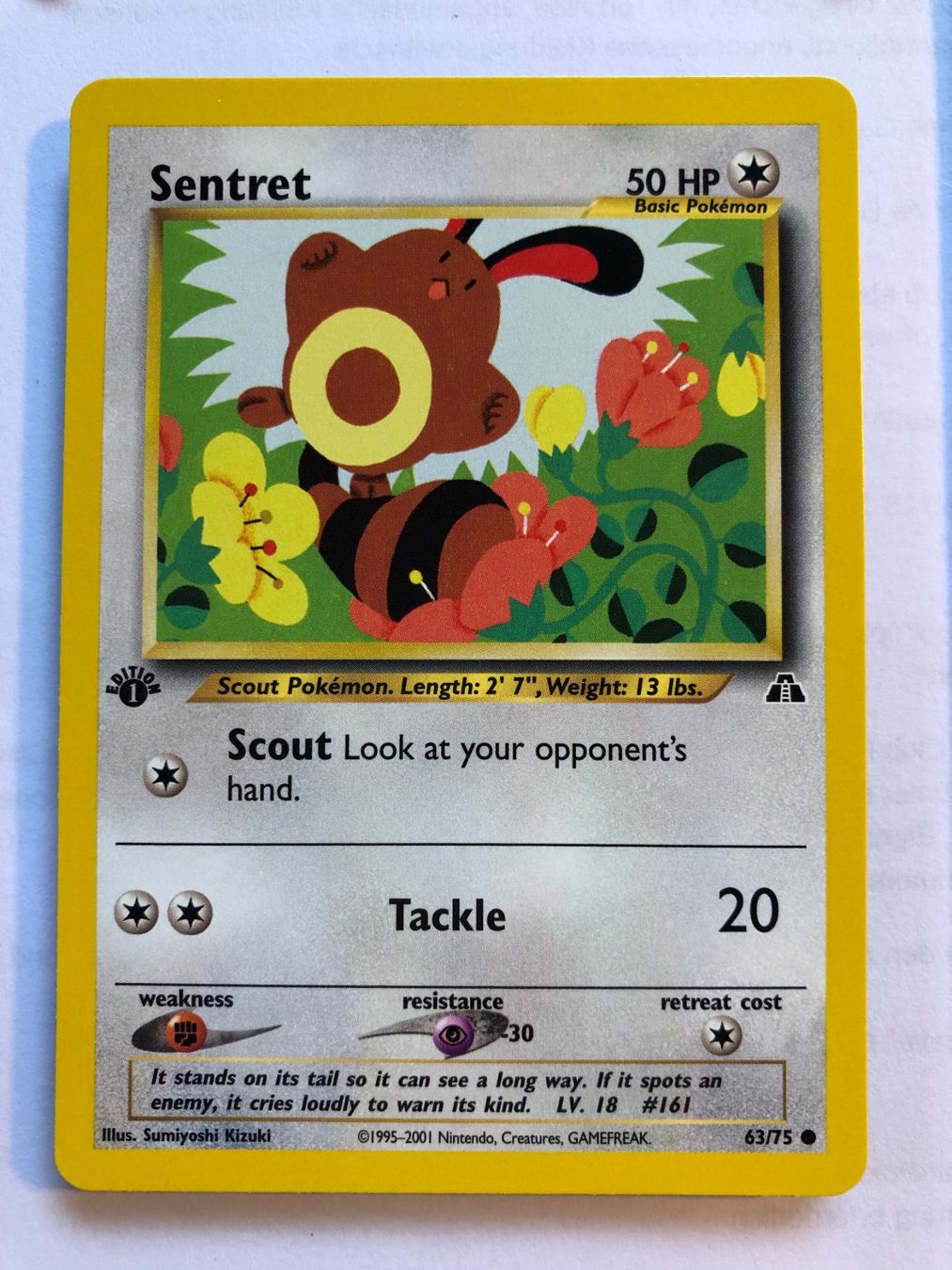 Carte collezionabili: Sentret 1st Neo Discovery - MINT - ab 1.- – Usato da Giubiasco venduto da dan_pr8b
