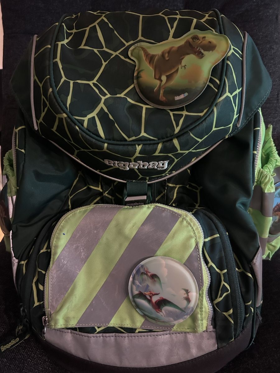 Ergobag Zaini: Ergobag Schul-Rucksack mit vielen Accessoires – Usato da Dietikon venduto da TdaC