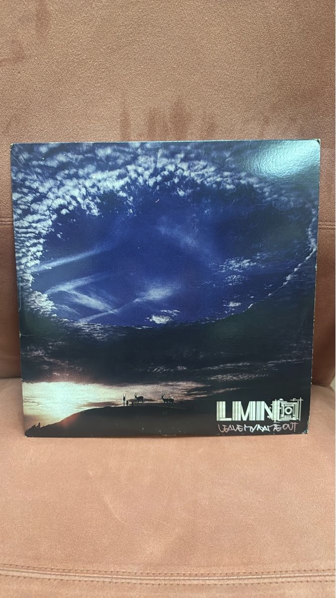 Dischi in vinile: Vinyl LP LMNO  LEAVE MY NAME OUT – Usato da Seigneux venduto da 1525Nas