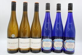 3x Varidor Riesling trocken / 3x Müller-Thurgau (26080768Z)