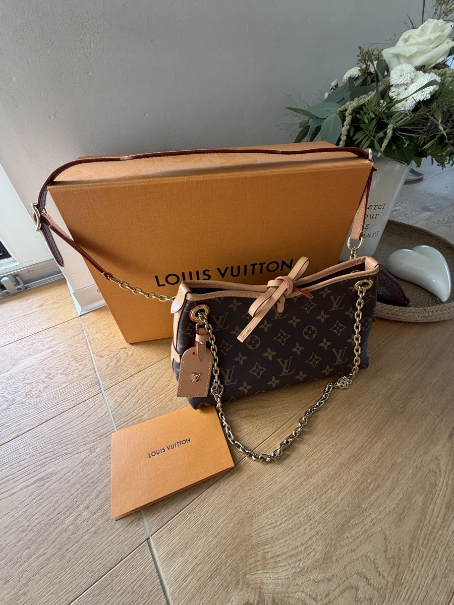 Louis Vuitton Borse da donna: Louis Vuitton Carry All BB – Nuovo (secondo la descrizione) da Murten venduto da nici1973 1