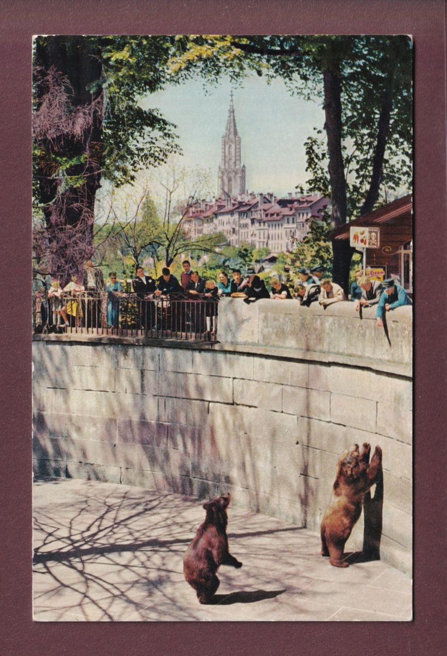 Cartoline postali: BERN - Bärengraben – Usato da Pully venduto da nicecards