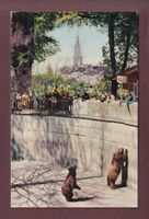 BERN - Bärengraben