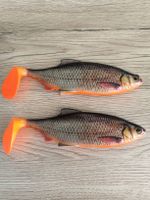 Gummifisch Set 2 Stück Köder Raubfisch neuwertig
