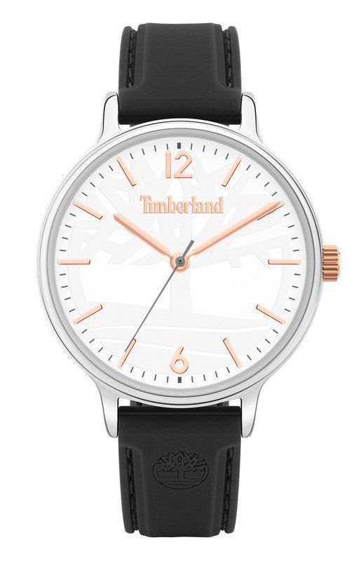 Timberland Orologi: Timberland Uhr - Northdale – Nuovo (secondo la descrizione) da Möhlin venduto da Reisejas