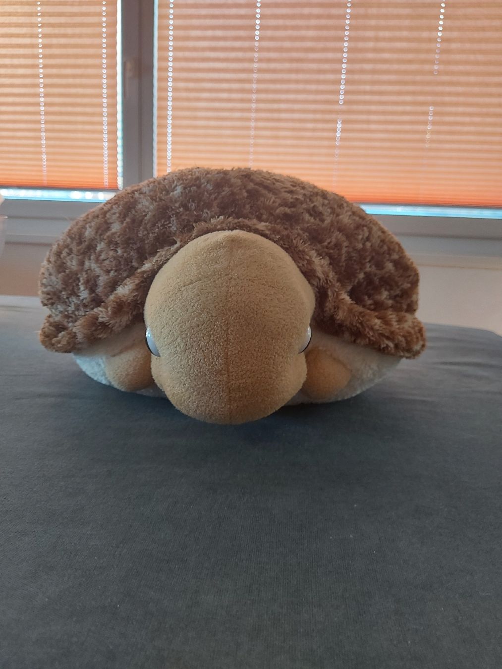 Giocattoli: Pouf peluche tortue – Usato da VUADENS venduto da momy 2