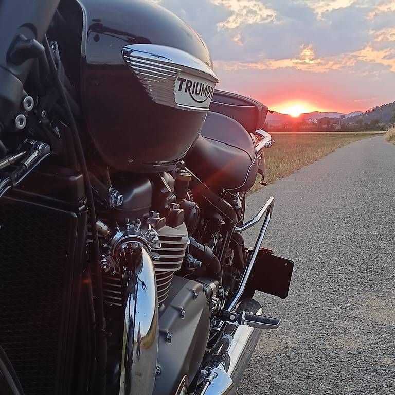 Chopper: Triumph Bonneville Speedmaster 1200 frisch ab MFK – Gebraucht aus Windisch von Elmato1 4
